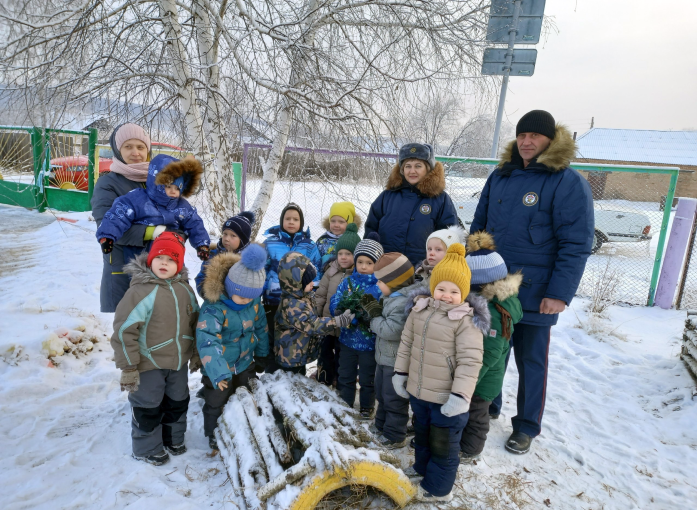 В поисках Новогодней елочки… В поисках Новогодней елочки….